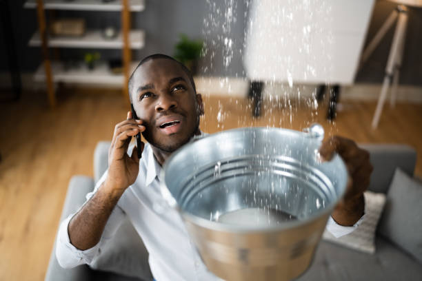 Best Mold removal after water damage  in Marion, TX