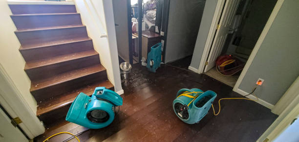 Best Local water damage restoration  in Marion, TX